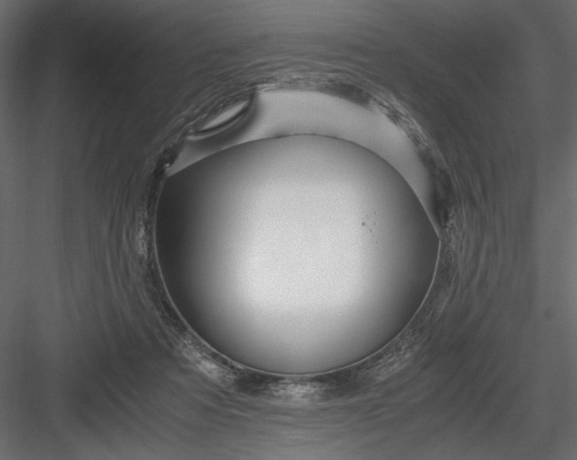 X0000084030313200702232305