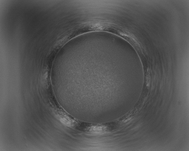 X0000084030314200702232305