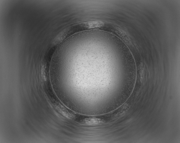 X0000084030316200702232305