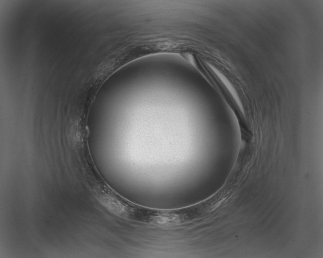 X0000084030317200702232305