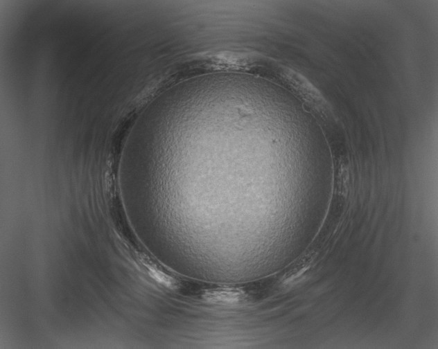 X0000084030318200702232305