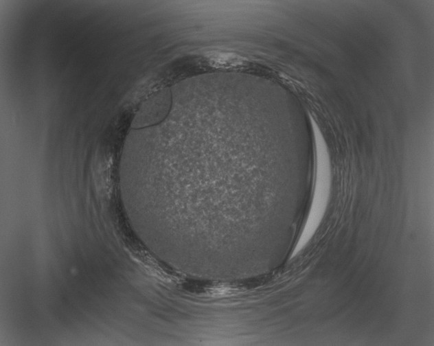 X0000084030319200702232305