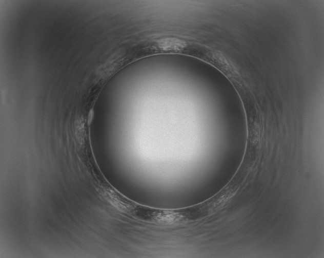 X0000084030321200702232305