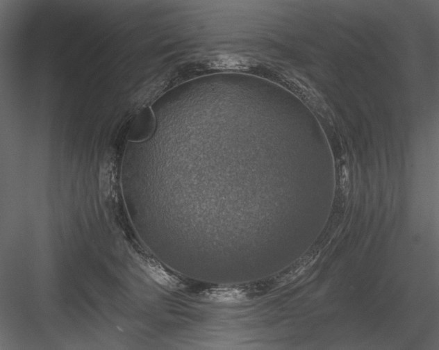 X0000084030322200702232305