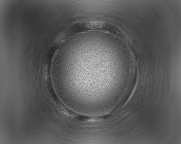 X0000084030323200702232305