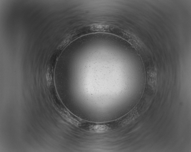 X0000084030324200702232305