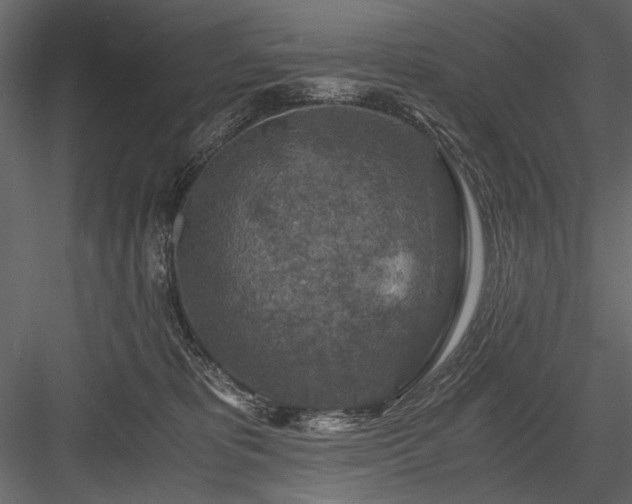 X0000084030325200702232305