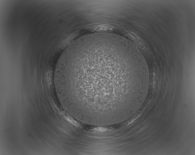 X0000084030326200702232305