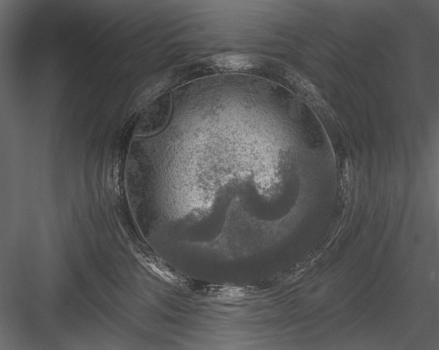 X0000084030330200702232305