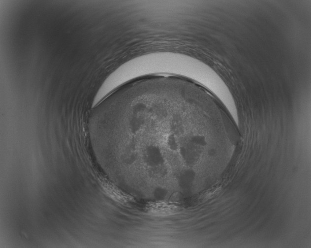 X0000084030331200702232305