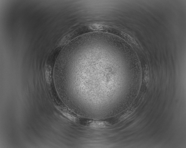 X0000084030332200702232305