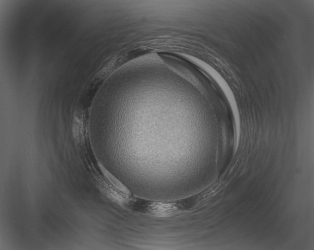 X0000084030333200702232305