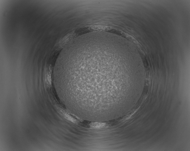 X0000084030334200702232305