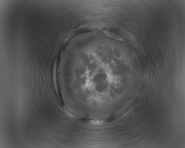 X0000084030335200702232305