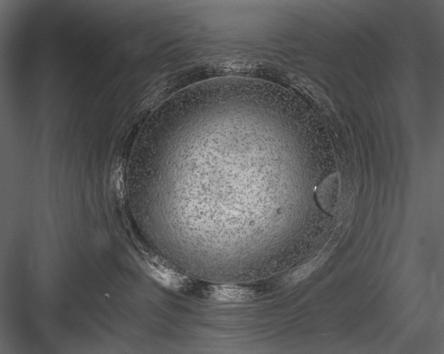 X0000084030336200702232305