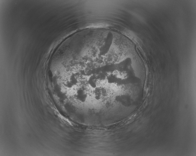 X0000084030337200702232304