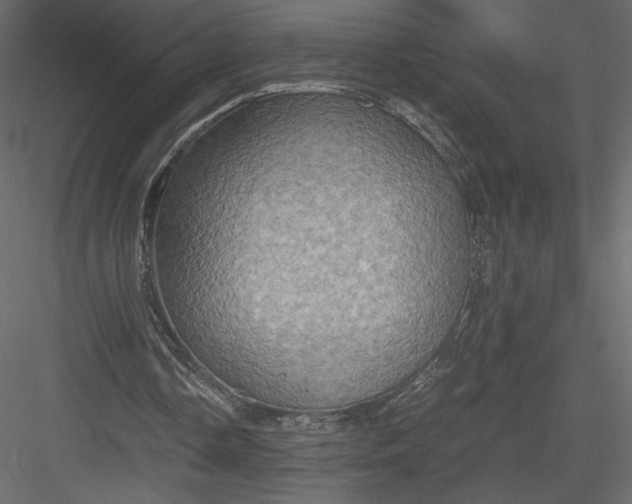 X0000084030338200702232304