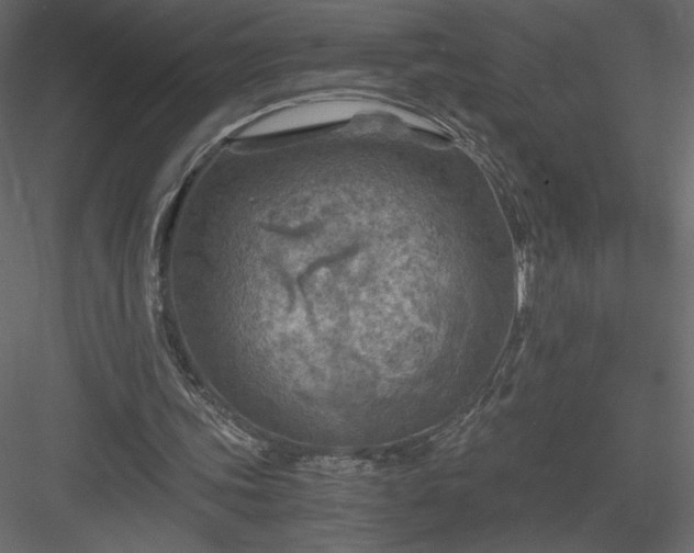 X0000084030339200702232304