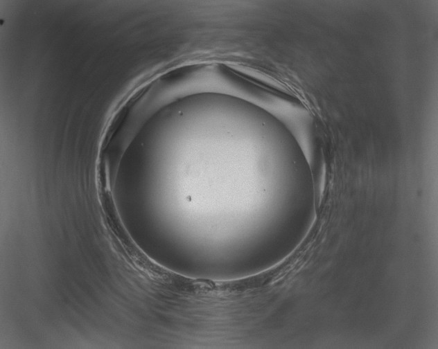 X0000084030340200702232304