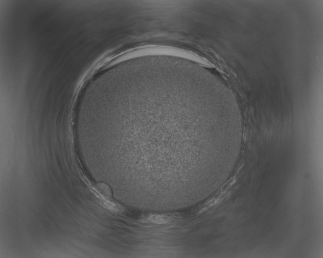 X0000084030341200702232304