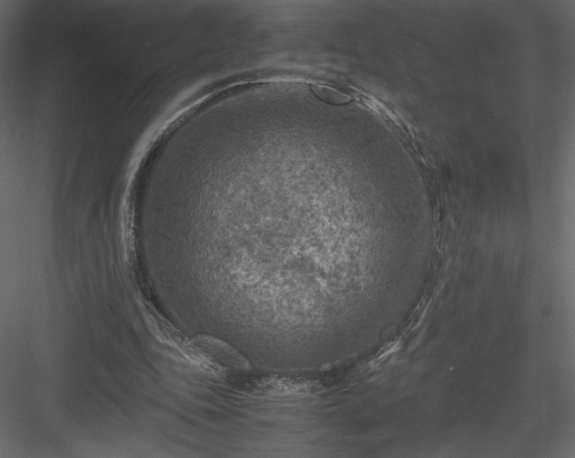 X0000084030343200702232304