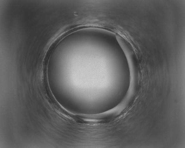 X0000084030344200702232304