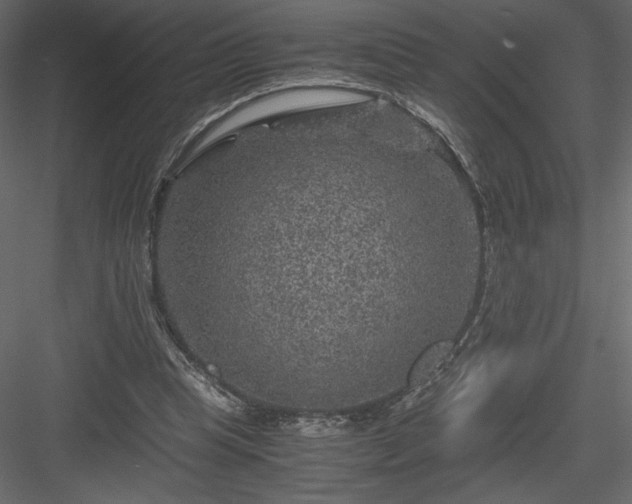 X0000084030345200702232304