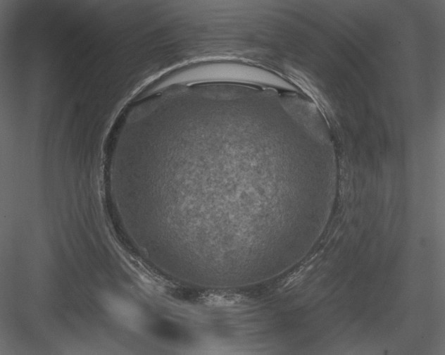 X0000084030346200702232304