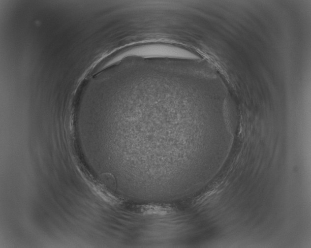 X0000084030347200702232304