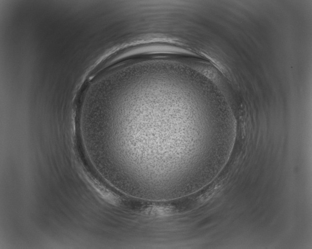 X0000084030350200702232304