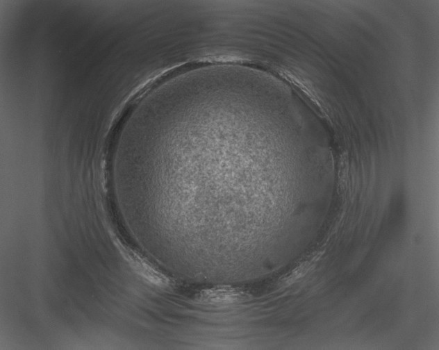 X0000084030351200702232304