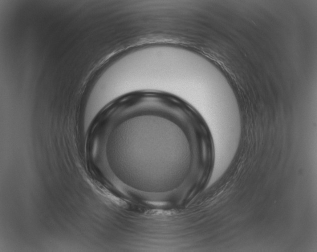 X0000084030352200702232304