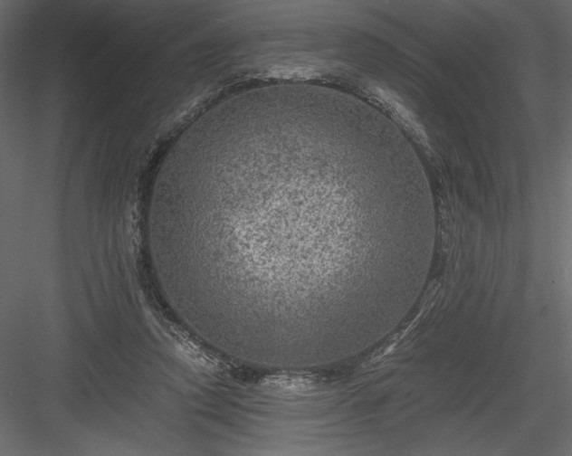 X0000084030354200702232304