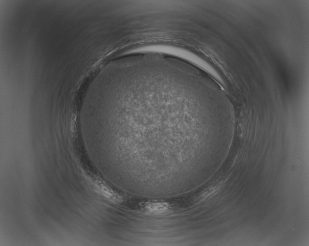 X0000084030355200702232304