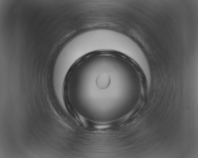 X0000084030356200702232304