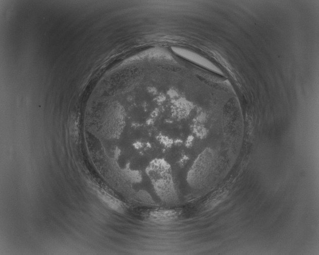 X0000084030357200702232304