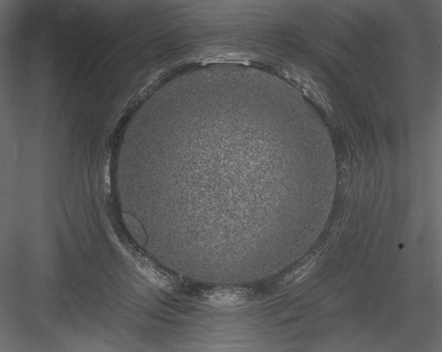 X0000084030358200702232304