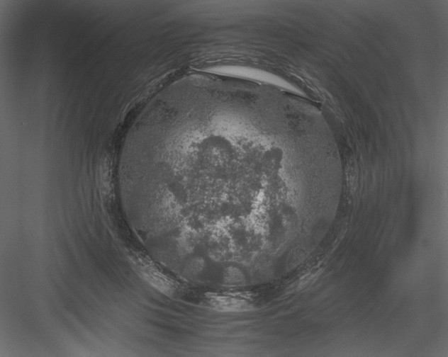 X0000084030359200702232304