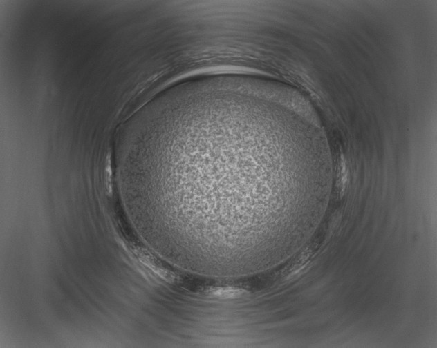 X0000084030360200702232304