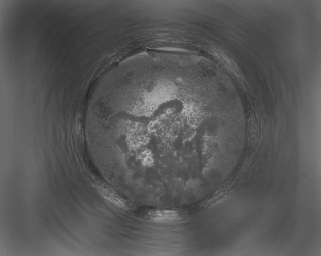 X0000084030361200702232304