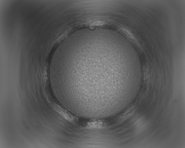 X0000084030362200702232304