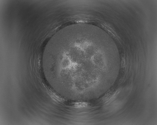 X0000084030363200702232304