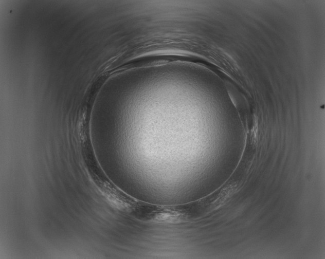 X0000084030364200702232304