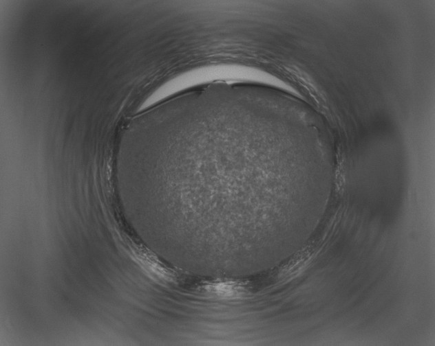 X0000084030365200702232304