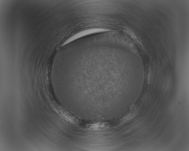 X0000084030366200702232304