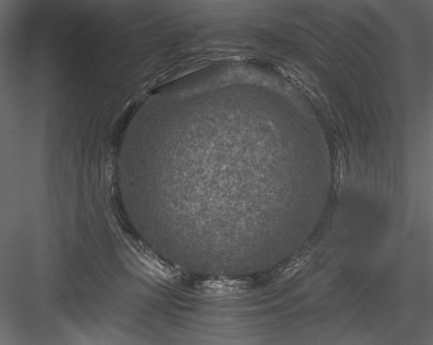 X0000084030367200702232304