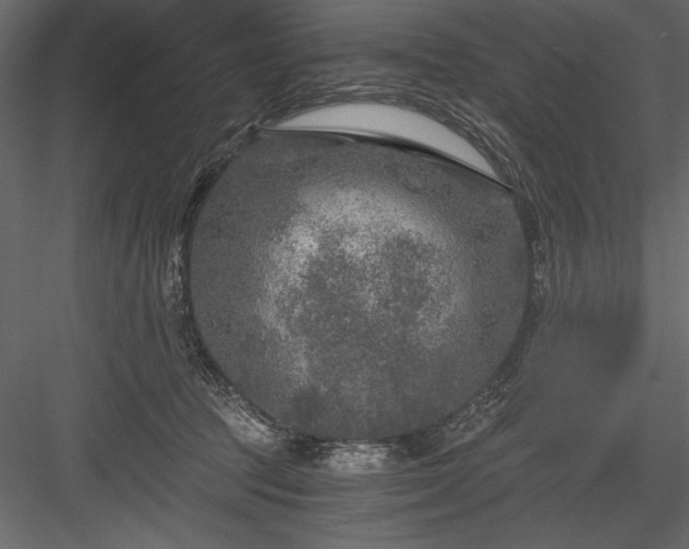 X0000084030369200702232304