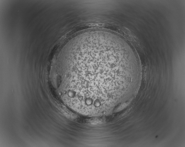 X0000084030370200702232304