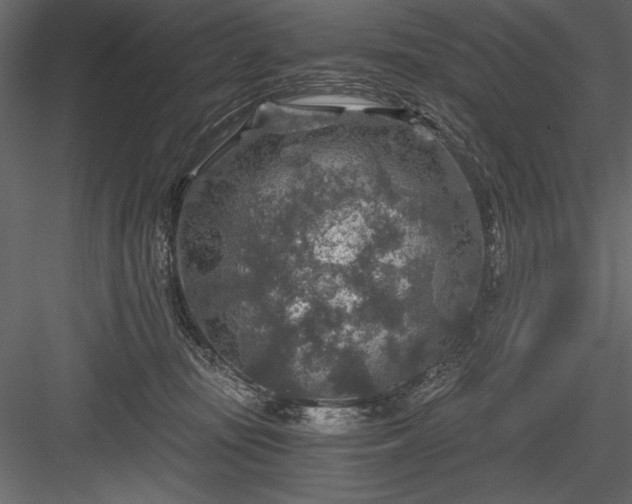 X0000084030371200702232304