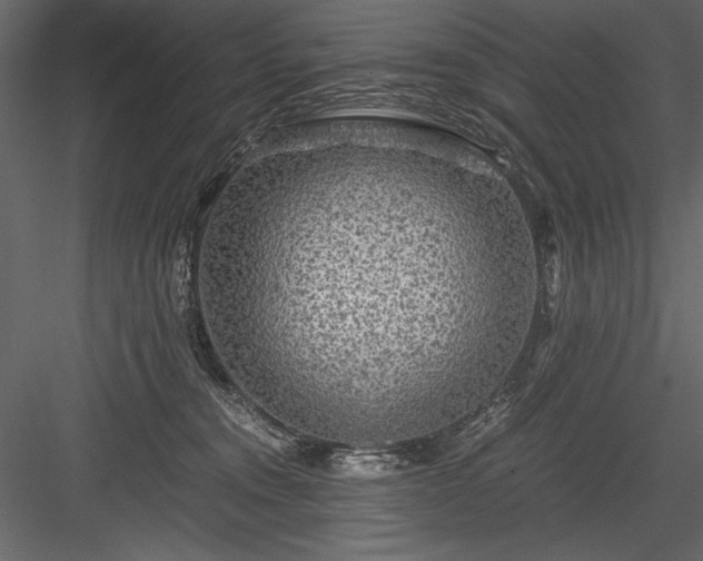 X0000084030372200702232304